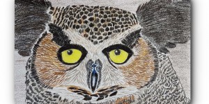 Beitragsbild des Blogbeitrags ZEICHNEN 14.20 – Eule