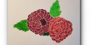 Beitragsbild des Blogbeitrags ZEICHNEN 20.20 – Himbeeren