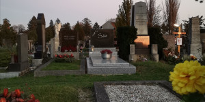 Beitragsbild des Blogbeitrags Viennese speed-grieving in times of (impending) Corona lockdown