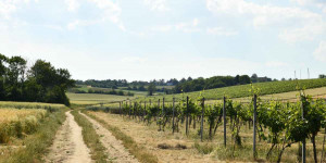 Beitragsbild des Blogbeitrags Tag der Arbeit: return of the Mai Aufmarsch
