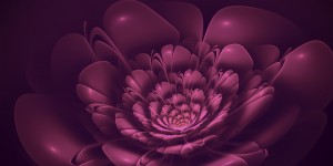 Beitragsbild des Blogbeitrags Erst die Fantasie bringt die Realität zur Blüte