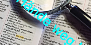 Beitragsbild des Blogbeitrags Der Duden und das generische Maskulinum Zwischenbericht und weitere Mobilisierung