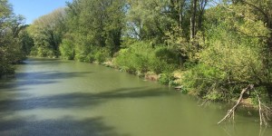 Beitragsbild des Blogbeitrags Der schönste Spazierweg in Tulln