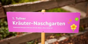 Beitragsbild des Blogbeitrags Urban Gardening: der Naschgarten