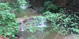 Beitragsbild des Blogbeitrags Lust auf Natur? Wie wärs mit der Hagenbachklamm …