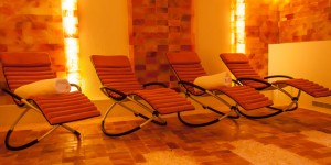 Beitragsbild des Blogbeitrags Eine frische Meeresbrise in Tulln!