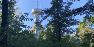 Beitragsbild des Blogbeitrags Auf zur Figl-Warte
