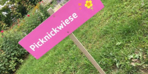 Beitragsbild des Blogbeitrags Die schönsten Platzerl fürs Picknick