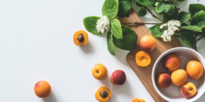 Beitragsbild des Blogbeitrags Lust auf Marillenknödel & Co.