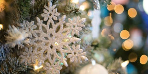 Beitragsbild des Blogbeitrags Adventmärkte in Tulln & Umgebung