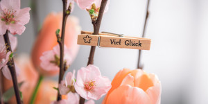Beitragsbild des Blogbeitrags Das Glück ist launisch