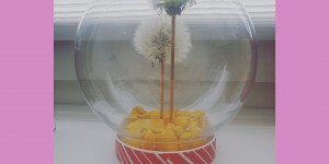 Beitragsbild des Blogbeitrags Pusteblumen für die Ewigkeit