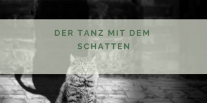 Beitragsbild des Blogbeitrags Der Tanz mit dem Schatten