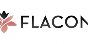 Beitragsbild des Blogbeitrags Flaconi