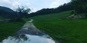 Beitragsbild des Blogbeitrags 10.5.17 - Blumau-Schwarzensee 