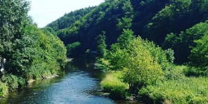 Beitragsbild des Blogbeitrags 31.7.17 - Wald4tel