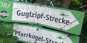 Beitragsbild des Blogbeitrags 12.5.18 - Pfarrkogel 