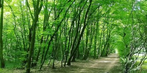 Beitragsbild des Blogbeitrags 16.6.18 - Trumau-Grossau