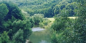 Beitragsbild des Blogbeitrags 19.7.18 - Guntramsdorf 