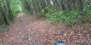 Beitragsbild des Blogbeitrags 11.8.18 - Reisetberg-Steinleiten 