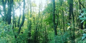 Beitragsbild des Blogbeitrags 15.9.18 - Pfarrkogel-Guglzipf-Gadenweith 