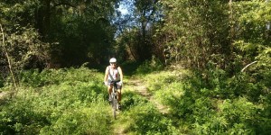 Beitragsbild des Blogbeitrags 18.9.18 - Donauauen 