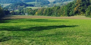 Beitragsbild des Blogbeitrags 11.1.18 - Hafnerberg-Schwarzensee