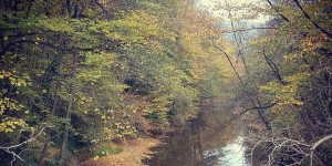 Beitragsbild des Blogbeitrags 17.10.18 - Siegenfeld 