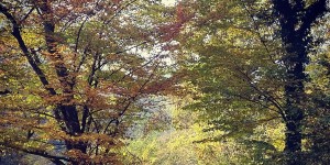 Beitragsbild des Blogbeitrags 18.10.18 - Rauchenwarth 