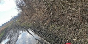 Beitragsbild des Blogbeitrags 17.01.18 - Rauchenwarth 