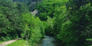 Beitragsbild des Blogbeitrags 23.5.19 - Vöslau