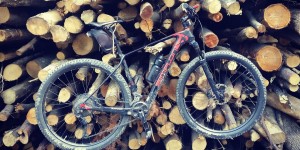 Beitragsbild des Blogbeitrags 1.6.19 - Reisetberg-Steinleiten-Kreith 