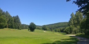 Beitragsbild des Blogbeitrags 28.6.19 - Haselbach - Für Gelia - run free 