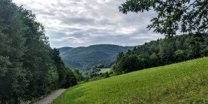 Beitragsbild des Blogbeitrags 21.7.19 - Vöslau