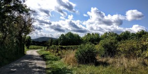 Beitragsbild des Blogbeitrags 19.9.19 - Zobelhof 