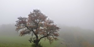 Beitragsbild des Blogbeitrags 19.10.19 - Steinleiten-Groisbach 