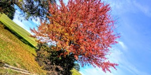 Beitragsbild des Blogbeitrags 21.10.19 - Haselbach-Schwarzensee-Zobelhof-Kreith