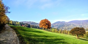 Beitragsbild des Blogbeitrags 23.10.19 Preinsfeld-Steinleiten-Nöstach 