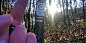 Beitragsbild des Blogbeitrags 6.11.19 - Reisetberg-Steinleiten 