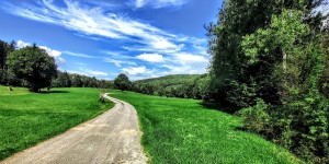 Beitragsbild des Blogbeitrags 10.9.20 - Haselbach-Schwarzensee