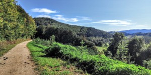 Beitragsbild des Blogbeitrags 24.9.20 - Dornbach-Sulz-Füllenberg-Preinsfeld