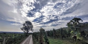 Beitragsbild des Blogbeitrags 2.10.20 - Schwarzensee