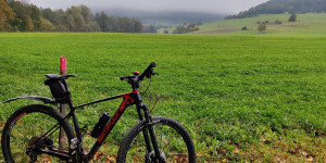Beitragsbild des Blogbeitrags 22.10.20 - Schwechatbach