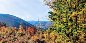 Beitragsbild des Blogbeitrags 26.10.20 - Schwarzberg-Reisetberg 