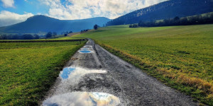 Beitragsbild des Blogbeitrags 11.12.20 - Schwechatbach