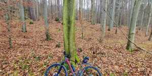 Beitragsbild des Blogbeitrags 14.12.20 Groisbach 