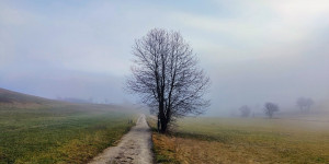 Beitragsbild des Blogbeitrags 18.12.20 - Groisbach
