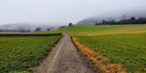 Beitragsbild des Blogbeitrags 5.1.21 - Schwechatbach