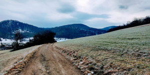 Beitragsbild des Blogbeitrags 12.1.21 - Schwechatbach