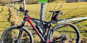 Beitragsbild des Blogbeitrags 26.2.21 - Dornbach-Füllenberg-Steinleiten